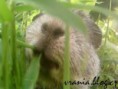 /album/fotogaleria/morca17-jpg/